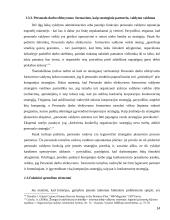 Darbo išteklių efektyvumas  14 puslapis