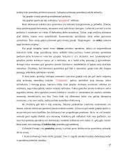 Darbo išteklių efektyvumas  17 puslapis