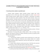 Darbo išteklių efektyvumas  19 puslapis