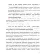 Darbo išteklių efektyvumas  20 puslapis