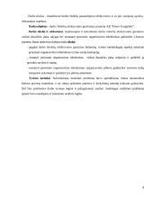 Darbo išteklių efektyvumas  3 puslapis