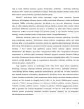 Darbo išteklių efektyvumas  8 puslapis