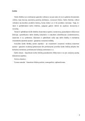 Darbo išteklių panaudojimo efektyvumo įvertinimas įmonėje 2 puslapis