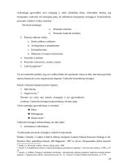 Darbo išteklių panaudojimo efektyvumo įvertinimas įmonėje 13 puslapis