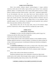 Darbo organizavimo procesas maitinimo įmonėje 12 puslapis