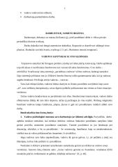 Darbo organizavimo procesas maitinimo įmonėje 7 puslapis