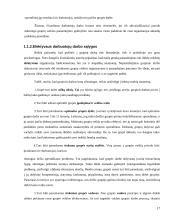 Personalo efektyvumo prielaidų analizė 17 puslapis