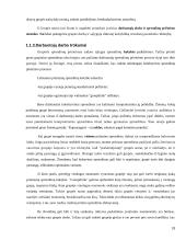 Personalo efektyvumo prielaidų analizė 18 puslapis