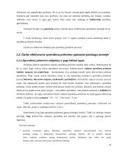 Personalo efektyvumo prielaidų analizė 19 puslapis