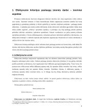 Personalo efektyvumo prielaidų analizė 4 puslapis