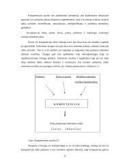 Darbuotojų kompetencijos kaita konkurencinėje aplinkoje 12 puslapis