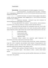 Slaugos planas: hipovolemija 2 puslapis