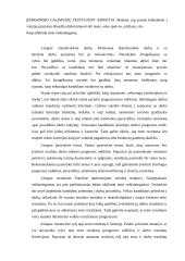 Personalo atranka ir samdymas 12 puslapis