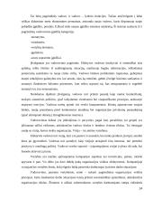 Vadovavimas vidinio marketingo pagrindu: teorija ir praktika 14 puslapis