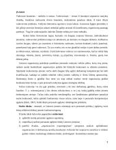 Vadovavimas vidinio marketingo pagrindu: teorija ir praktika 3 puslapis