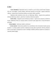 Darbuotojų valdymo tobulinimas 2 puslapis