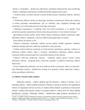 Darbuotojų valdymo tobulinimas 8 puslapis