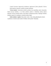 Personalo struktūros formavimas "N" įmonėje  3 puslapis