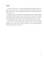 Inovacijos ir nerimas dėl ateities 2 puslapis