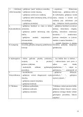 Kauno miesto šeimos gydytojų darbe patiriamas stresas 14 puslapis
