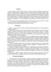 Senovės lietuvių choreografija 3 puslapis