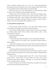 Nedarbo mažinimo strategija. Referatas 13 puslapis