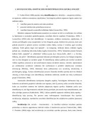 Organizacijos ir individo santykis socialinio identifikavimo požiūriu  3 puslapis