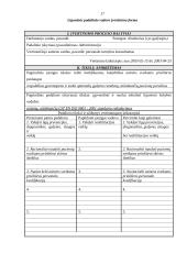 Padalinių vadovų vertinimas 17 puslapis