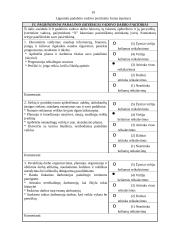 Padalinių vadovų vertinimas 19 puslapis