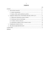 Padalinių vadovų vertinimas 5 puslapis