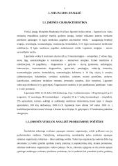 Padalinių vadovų vertinimas 7 puslapis