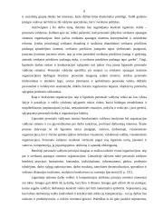 Padalinių vadovų vertinimas 8 puslapis