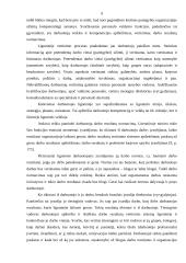 Padalinių vadovų vertinimas 9 puslapis