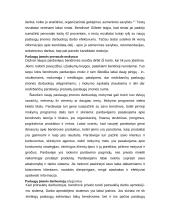 Paslaugų įmonės personalo strategijos ir struktūros sudarymas 13 puslapis