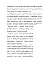 Paslaugų įmonės personalo strategijos ir struktūros sudarymas 14 puslapis