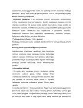 Paslaugų įmonės personalo strategijos ir struktūros sudarymas 19 puslapis