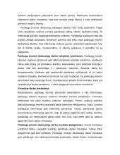 Paslaugų įmonės personalo strategijos ir struktūros sudarymas 20 puslapis