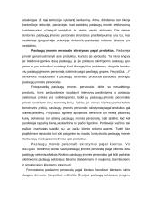 Paslaugų įmonės personalo strategijos ir struktūros sudarymas 3 puslapis