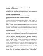 Paslaugų įmonės personalo strategijos ir struktūros sudarymas 6 puslapis