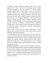 Paslaugų įmonės personalo strategijos ir struktūros sudarymas 7 puslapis