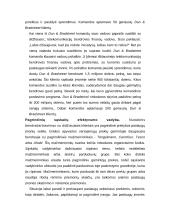 Paslaugų įmonės personalo strategijos ir struktūros sudarymas 10 puslapis