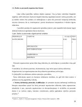 Personalo organizavimo tobulinimas 17 puslapis