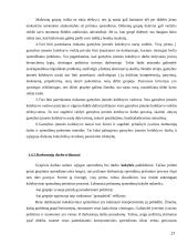 Darbo efektyvumas ir ištekliai AB “Pieno žvaigždės” 16 puslapis