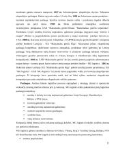 Personalo valdymas įmonėje 11 puslapis