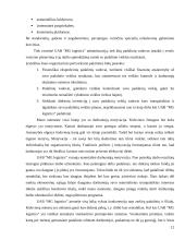 Personalo valdymas įmonėje 12 puslapis