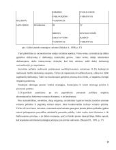 Personalo valdymas ir ugdymas 12 puslapis