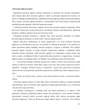 Personalo valdymas ir ugdymas 17 puslapis