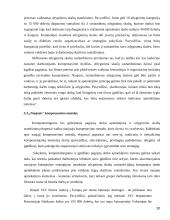 Personalo valdymas ir ugdymas 20 puslapis