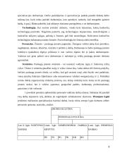 Personalo valdymo tobulinimas  8 puslapis