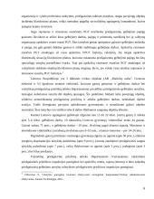 Priešgaisrinės saugos žmogiškųjų išteklių formavimas  6 puslapis